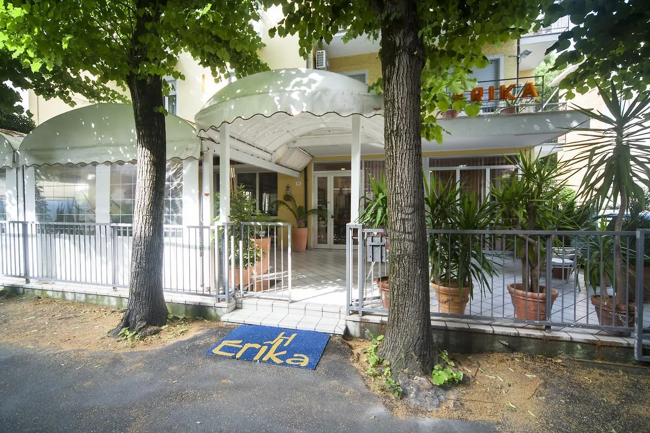 Hotel Erika Rimini 3*,